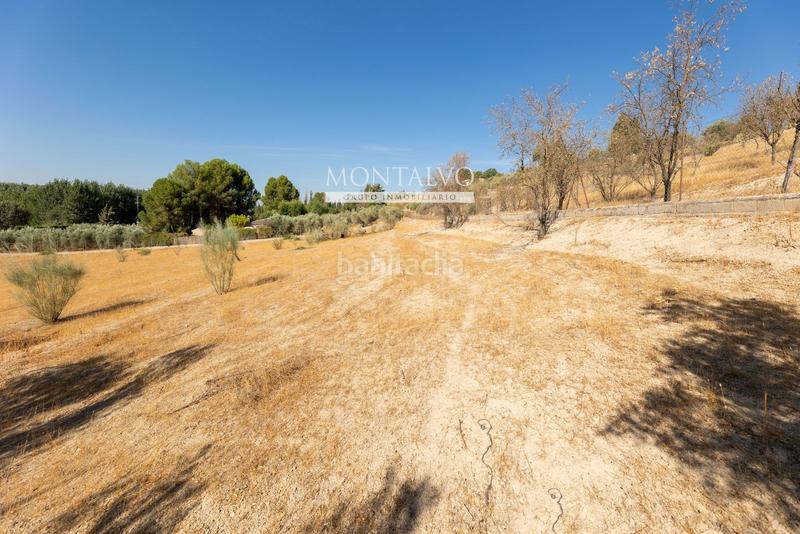 Foto b8431211-9e37-4fca-b24b-02d3cec283e8. Rural plot in 35- barranco hondo 59 in Láchar