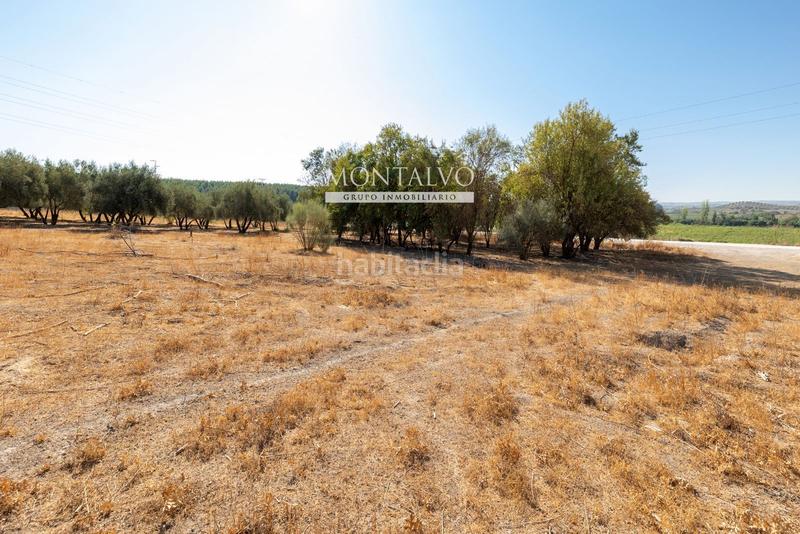 Foto bd56d94d-6200-4ce8-b54c-3a9cd609586e. Rural plot in 35- barranco hondo 59 in Láchar