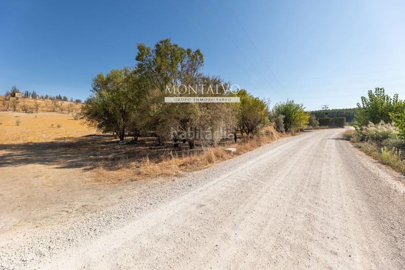 Foto be7169c8-109e-455a-9545-b9ad8514d4ca. Rural plot in 35- barranco hondo 59 in Láchar