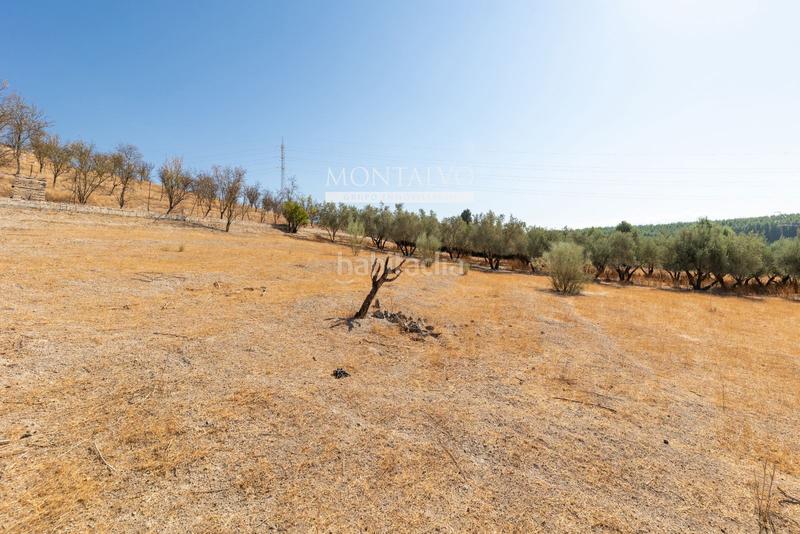 Foto d4032a53-c94a-4f87-a326-e013d7f81617. Rural plot in 35- barranco hondo 59 in Láchar