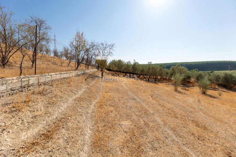 Foto d60695f9-288c-4dca-8943-397a06b4b8c9. Rural plot in 35- barranco hondo 59 in Láchar