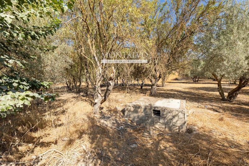 Foto d7bf0e46-fb3c-47d8-bc10-321e54bacc3c. Rural plot in 35- barranco hondo 59 in Láchar