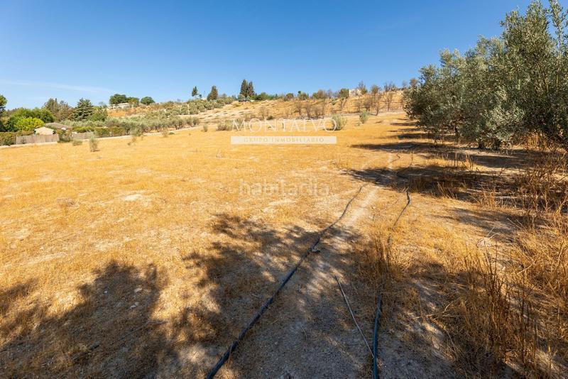 Foto e31d6e52-6e6e-47b7-9312-a459c682052f. Rural plot in 35- barranco hondo 59 in Láchar