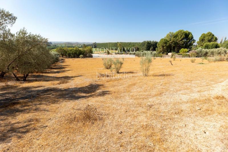 Foto f59164ae-a5d7-4dfe-90ca-93036e10438f. Rural plot in 35- barranco hondo 59 in Láchar