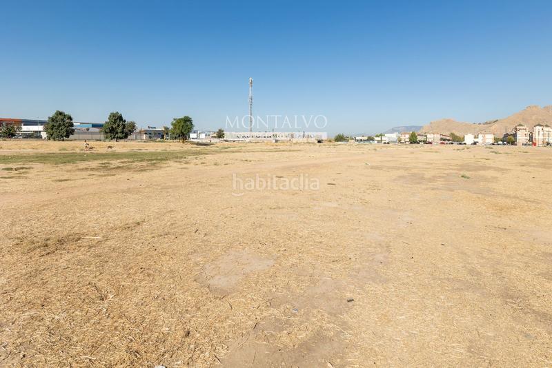 Foto 9f8f9e0d-7270-43c9-8f7f-9c5b9c0e5662. Landgut in maestro antonio ramos 43 in Atarfe