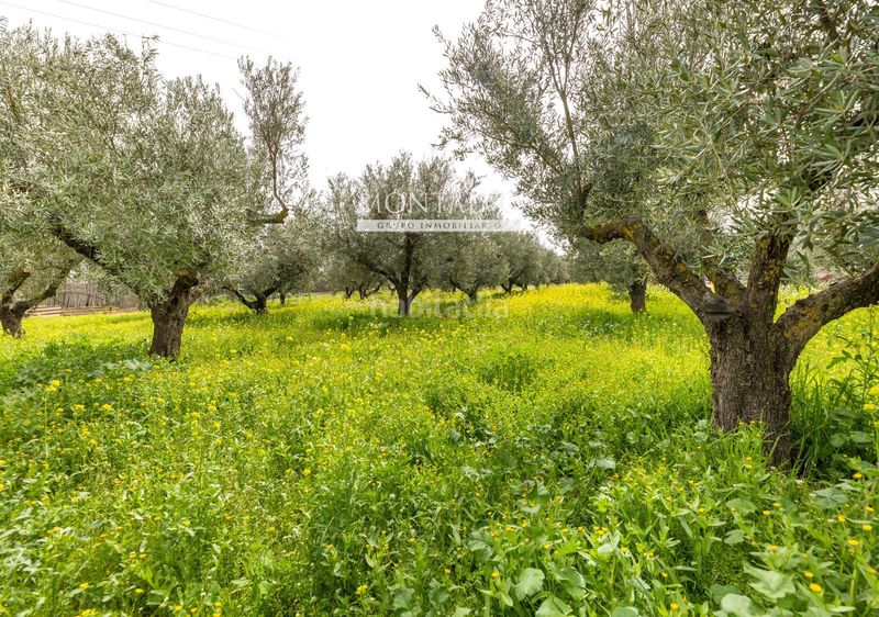 Foto 03b6d62a-511f-4322-b5b5-253461d61f2e. Casa a poligono 20 a Santa Fe