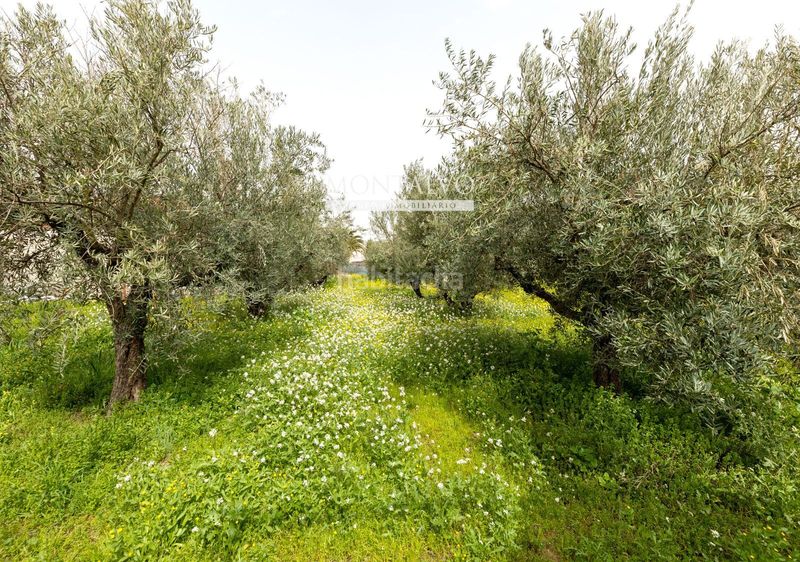 Foto 1a61d418-5488-4e04-a41b-97ebebd1e698. Casa a poligono 20 a Santa Fe