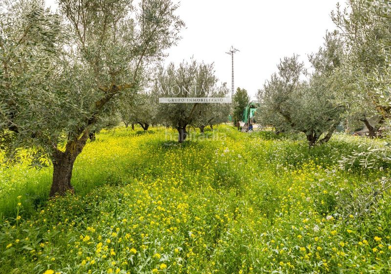 Foto 5397a801-b1ea-4632-9d25-38d5fe2f1b09. Casa a poligono 20 a Santa Fe