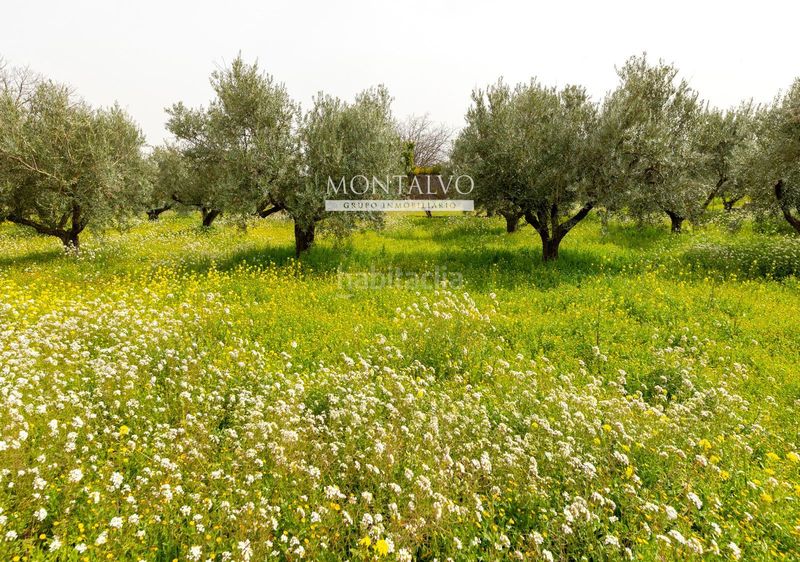 Foto cf638f10-2b99-4fe0-ae91-18cc5b6aed4c. Casa a poligono 20 a Santa Fe