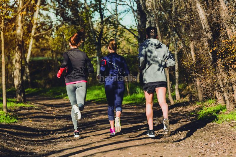 Foto 90647177-7c63-4597-87e5-225ecdfdfaa6. Pis a n/a a El Higuerón Fuengirola