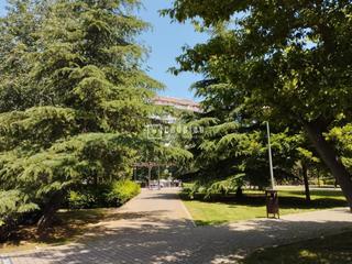 Appartement en Parque Catalua