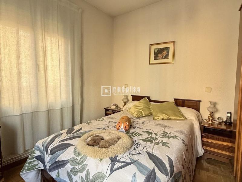 Foto ddfff65c-09b4-436e-906b-72cf2bd2120c. Pis a Casa de Campo Madrid