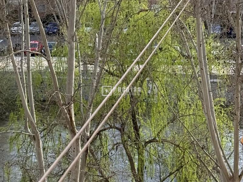 Foto ef415801-c9f8-4c2c-a503-6ddad8eb4fb7. Pis a Casa de Campo Madrid