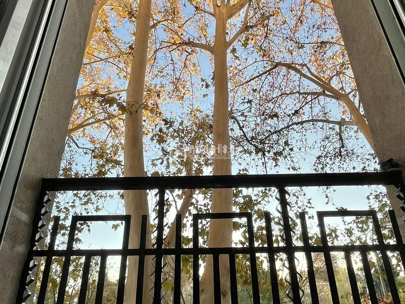 Foto 01bc2987-5d2c-40b7-a868-0eac80e8e60f. Piso redpiso paseo la florida vende en exclusiva en Madrid