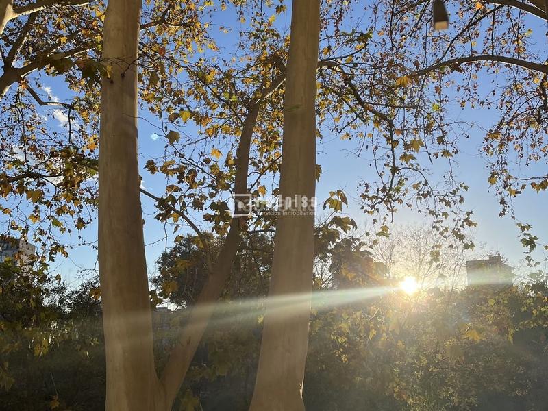 Foto 4e54d2f3-7990-419b-92f5-c2f4d39b023b. Piso redpiso paseo la florida vende en exclusiva en Madrid