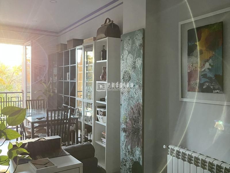 Foto 83916947-1c52-4d49-96cf-c3f4cfb675f3. Piso redpiso paseo la florida vende en exclusiva en Madrid