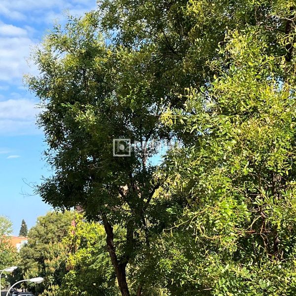 Foto 9f68c5b1-72f9-4af4-85df-10c1c8c2ae79. Rent flat with heating in Casa de Campo Madrid