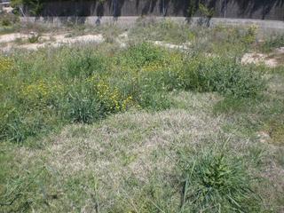 Terreno residenziale in Avinguda camí de les forques 31