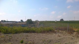 Finca rústica a Ctra Jerez-Ctra del Puerto. Parcela rústica disponible