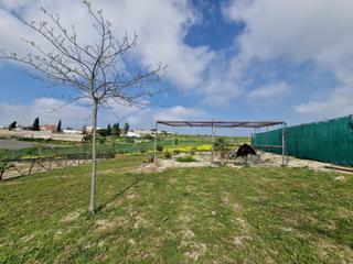 Landgut in Centro-Calzada-Cabo Noval. Finca rústica en reventón chico  2.240 m