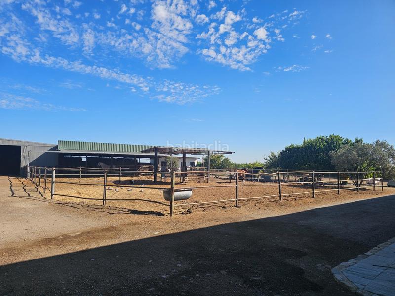 Foto 140c9f84-88b5-49b2-a560-892603279a4d. Masia amb aparcament a Ctra Jerez-Ctra del Puerto Sanlúcar de Barrameda