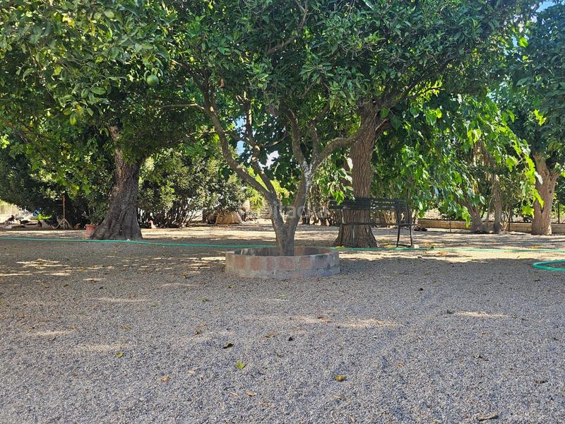 Foto 67eb52e6-ee7a-435f-a30b-aeafcd2ba1fb. Masia amb aparcament a Ctra Jerez-Ctra del Puerto Sanlúcar de Barrameda