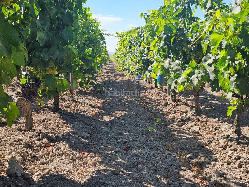 Foto 8fa9a563-b3b4-4ebf-8034-6548ab97af76. Masia amb aparcament a Ctra Jerez-Ctra del Puerto Sanlúcar de Barrameda