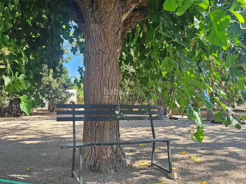 Foto c68e0b6a-d346-43b9-8a80-61213040048b. Masia amb aparcament a Ctra Jerez-Ctra del Puerto Sanlúcar de Barrameda