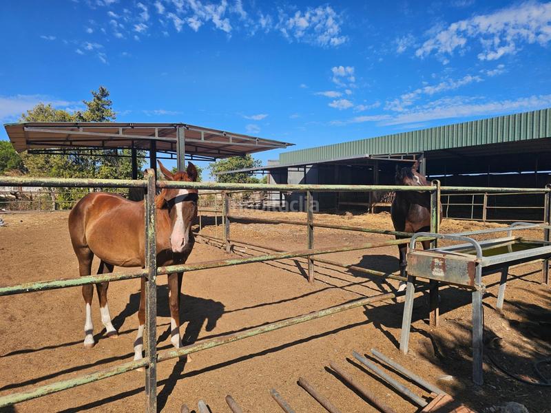 Foto f5b4ecc3-d7fe-4ef1-9d84-62a5edaa3ebc. Masia amb aparcament a Ctra Jerez-Ctra del Puerto Sanlúcar de Barrameda