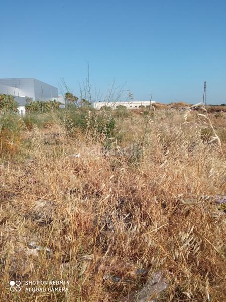 Foto 0b4d431a-fc83-4819-9fc3-288368d0f847. Terreno residencial magnífica finca rústica en polígono rematacaudales en Sanlúcar de Barrameda