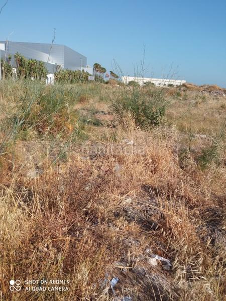 Foto d8063934-47db-44d2-8d7c-c931fb73c0bd. Terreno residencial magnífica finca rústica en polígono rematacaudales en Sanlúcar de Barrameda