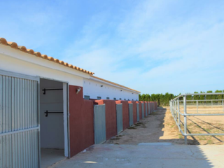 Terreny residencial  N/a. Finca rustica