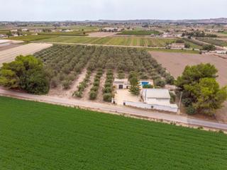Mas à Camino de hondo s/n. Encantadora finca con 300 olivos en venta en dolores