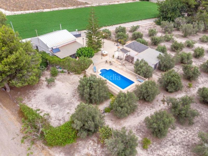 Foto b6c495b8-6352-4108-88a9-cadfb03be9eb. Masía en camino de hondo s/n encantadora finca con 300 olivos en venta en Dolores