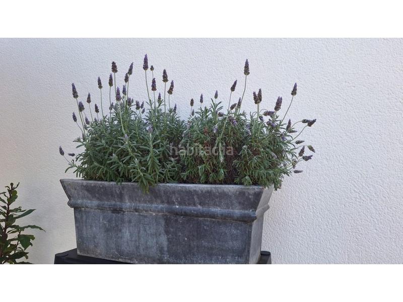 Foto d1a55546-cc30-4de9-a4fe-e934b8179cfd. Casa amb piscina a Los Balcones-Los Altos Torrevieja