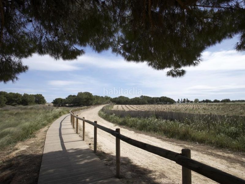 Foto fbfc1455-8c53-4f4f-9322-a59c30fd2659. Casa amb piscina a Aguas Nuevas Torrevieja