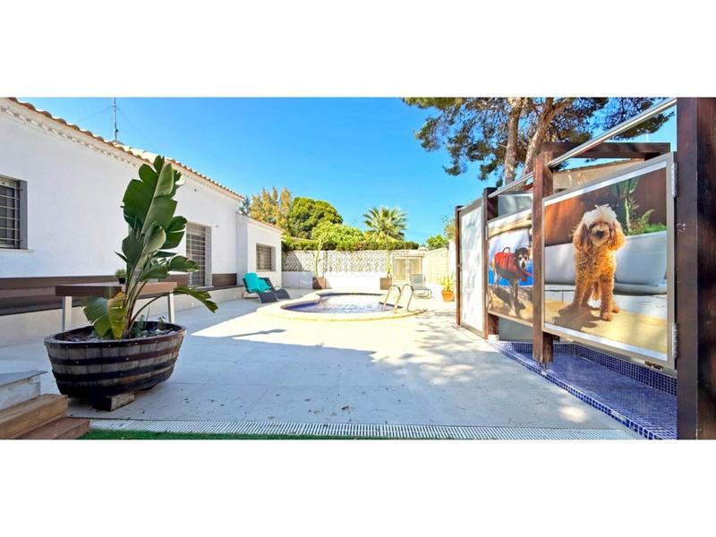 Foto 15d017cf-c5cd-4dc9-b5f4-d9950cbab921. Casa en calle fragata-Punta Prima 15 villa de 4 dormitorios con piscina privada en Punta Prima en Orihuela