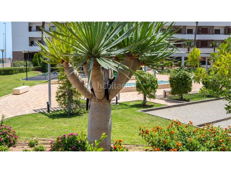 Foto ed4bc73c-3183-455b-8d39-cfcd5507a282. Apartamento ático con garaje, trastero y vistas panorámicas en la costa blanca en Orihuela
