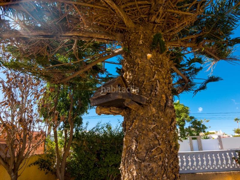 Foto 0d13adde-0c6f-4658-add2-938d417f2979. Casa villa con potencial de reforma en la siesta en Torrevieja