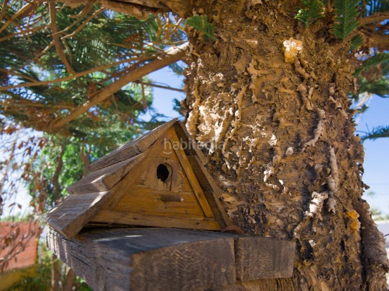 Foto afecfc96-4bae-4293-9d4b-9cf0cb2eb365. Casa villa con potencial de reforma en la siesta en Torrevieja