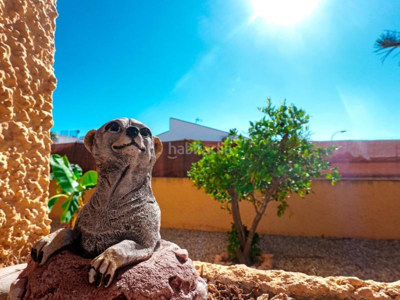 Foto fcfcddfc-48f3-4da4-9381-a29625da6481. Casa villa con potencial de reforma en la siesta en Torrevieja