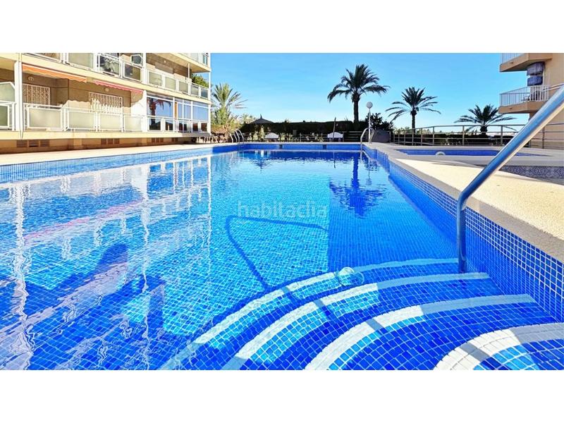 Foto 66604e9d-45e5-4bdb-9d65-154822455158. Apartament amb piscina a Punta Prima Torrevieja