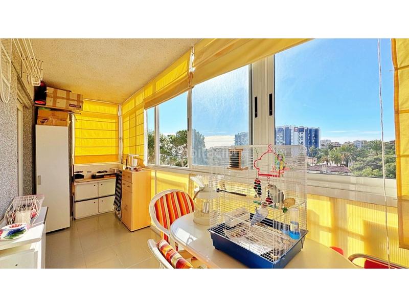 Foto f5e2548a-46b3-40b0-bb93-d19a8e426972. Apartament amb piscina a Punta Prima Torrevieja