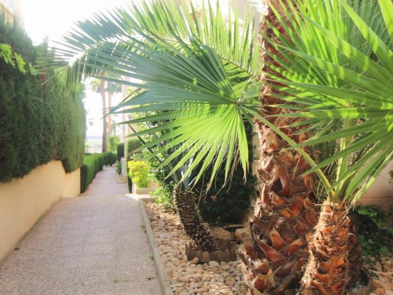 Foto 8206c8cf-00ba-43c0-a272-a55abbcde925. Apartment in La Veleta Torrevieja