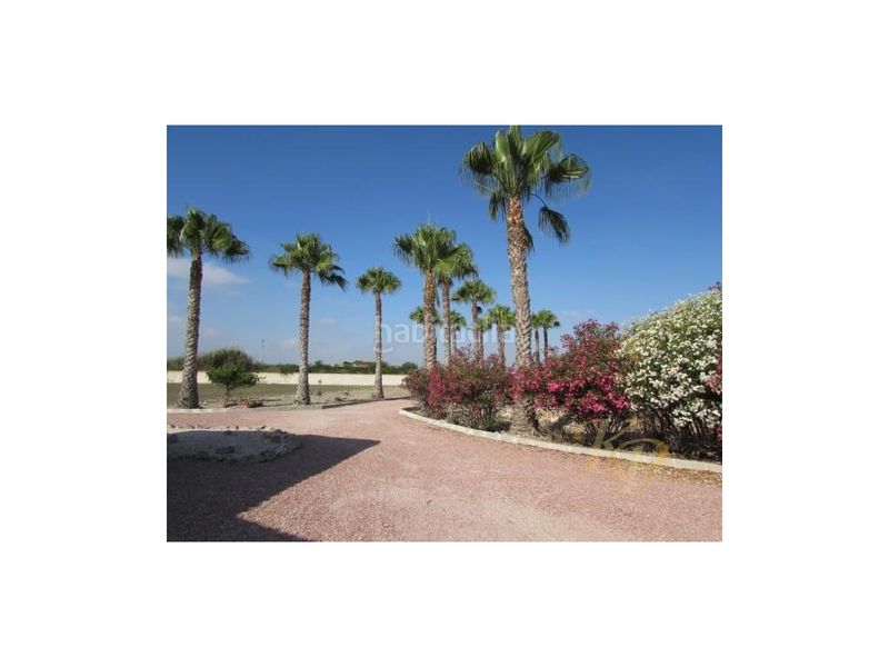 Foto d7bacd49-6ee0-4c3a-9884-7e3f75b5f5c2. Casa amb piscina a Dolores