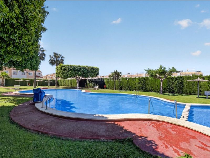 Foto 05205d6a-0f24-42d2-861f-fd5f0bd902b6. Apartament amb piscina a Zona Carrefour - Urbanizaciones Torrevieja