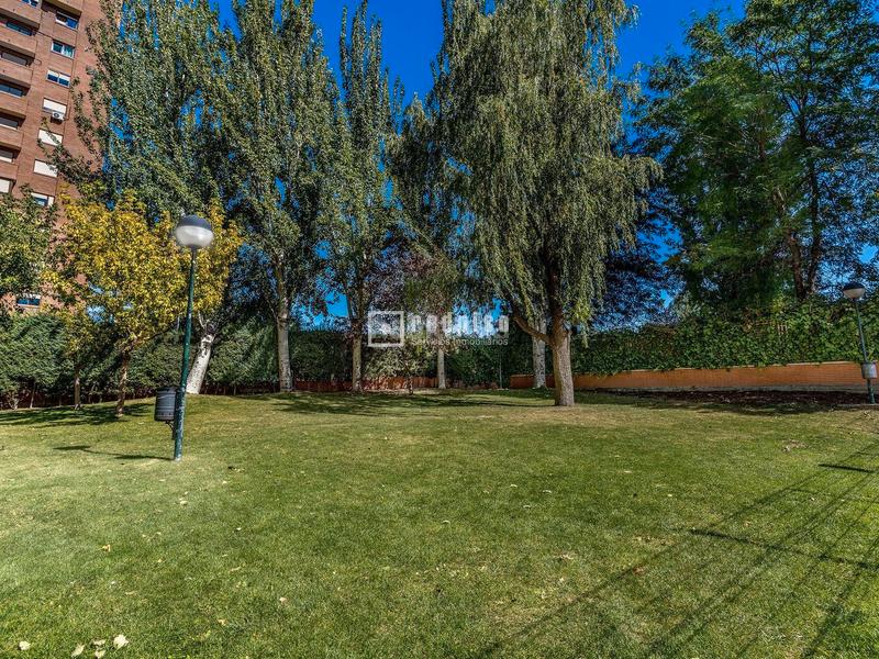 Foto 6a0a8808-25b9-4abd-939f-536e9e5d8c80. Alquiler ático  totalmente reformado en al avenida de burgos en Madrid