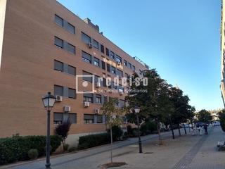 Pis a Centro. Urbanización corazón de ardoz