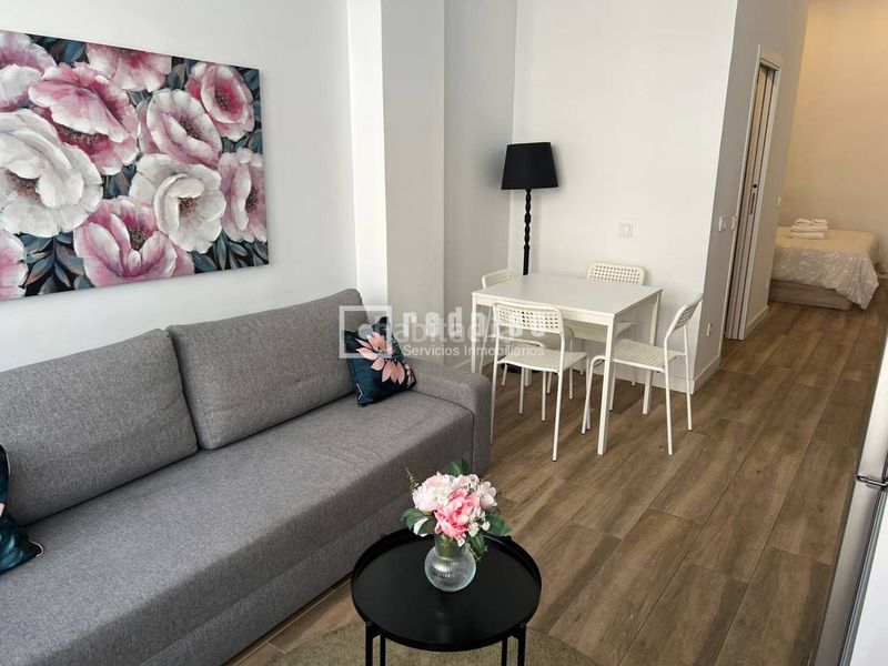 Foto bb1394c1-5f37-436f-83fd-0866c91d5fc7. Estudi a San Isidro Madrid