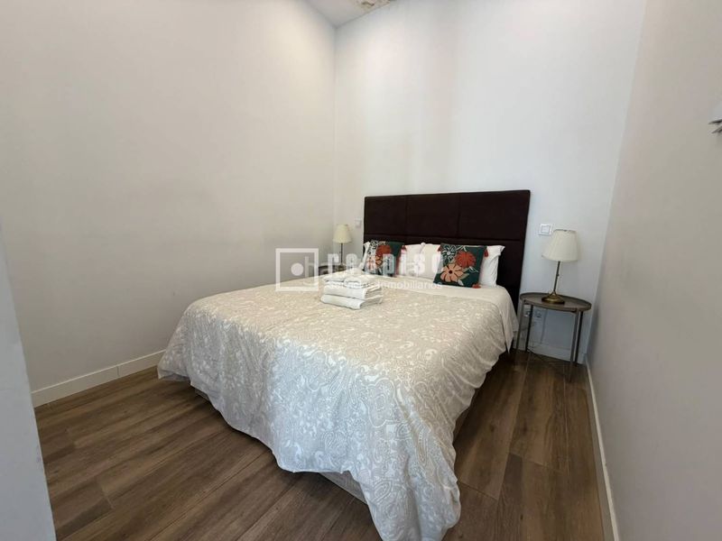 Foto eb172191-2979-498c-8044-b0d6642551db. Estudi a San Isidro Madrid